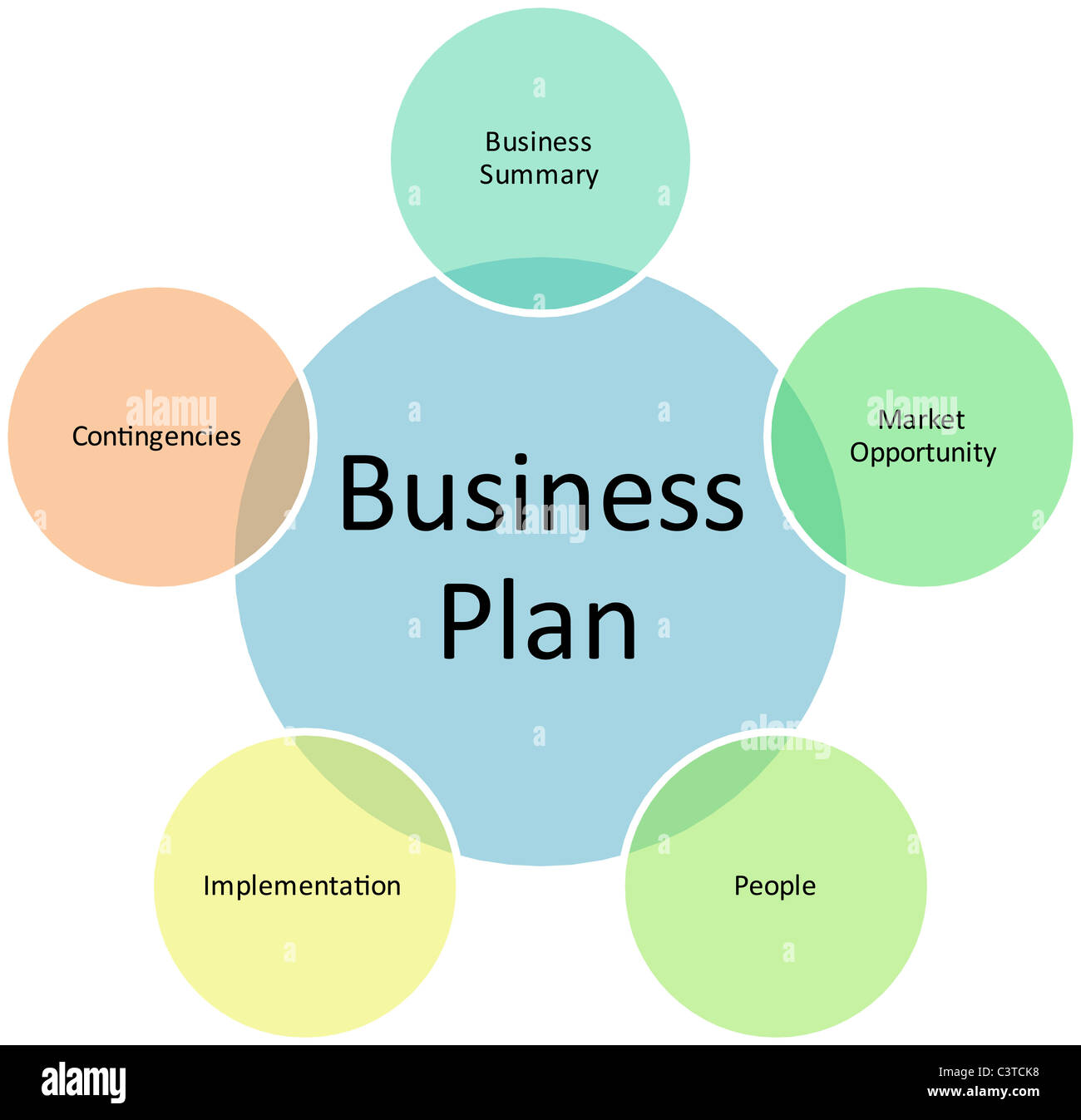 business plan management and organization example