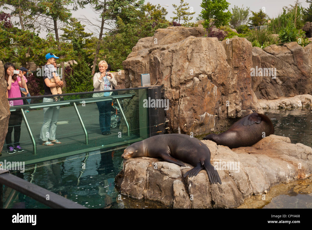 New York Aquarium in Brooklyn New York Stock Photo - Alamy