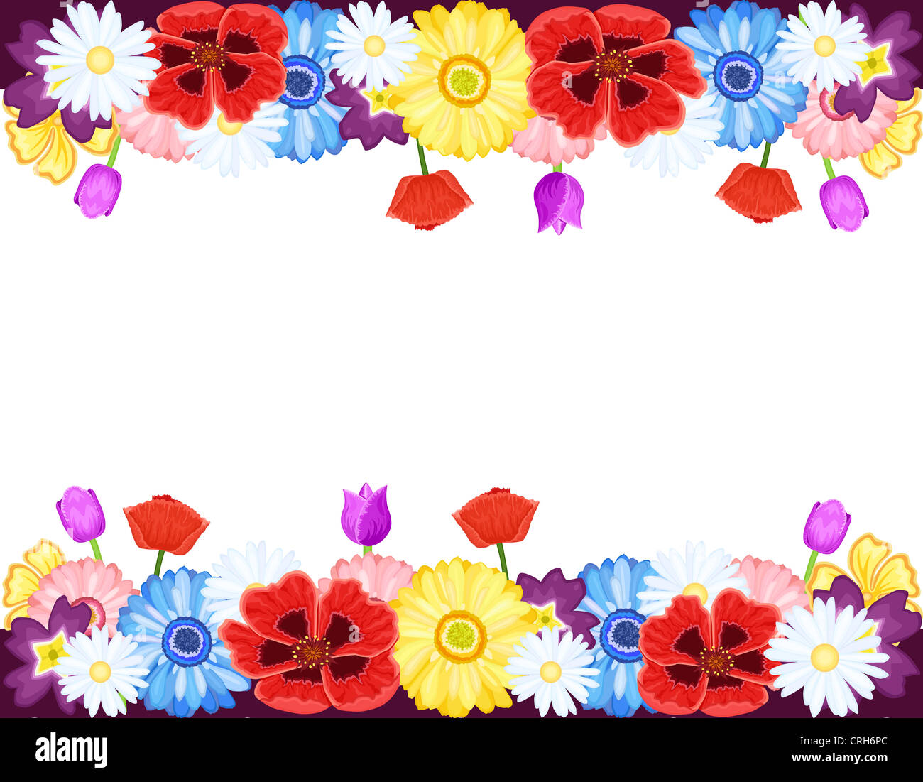 Beautiful flowers borders - spring and summer. Isolated over white ...