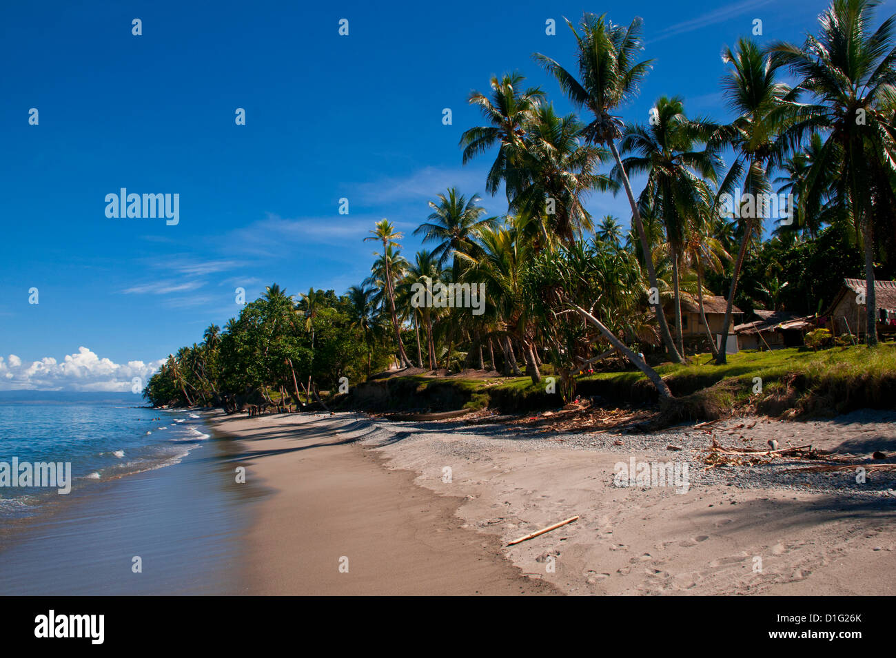 Tropical beach, Solomon Islands, Pacific Stock Photo - Alamy