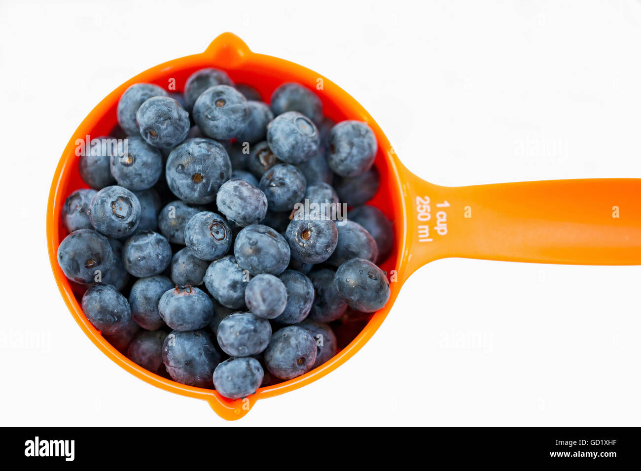 Close up of one cup of blueberries on a white background Stock Photo ...