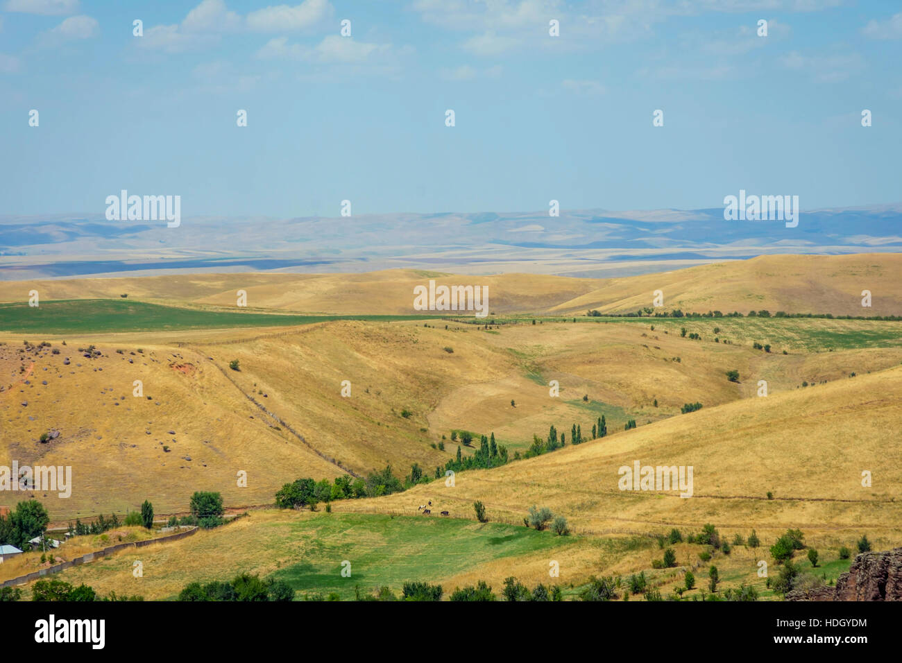 Endless golden color kazakh grass landscape Stock Photo - Alamy