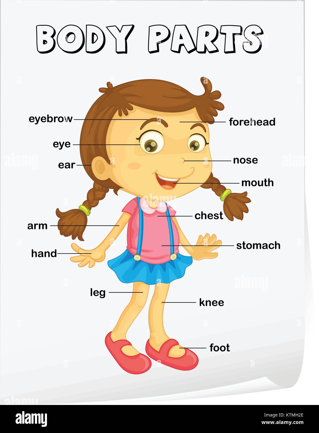Vocabulary Worksheet Parts Of The Body Stock Vector Image And Art Alamy
