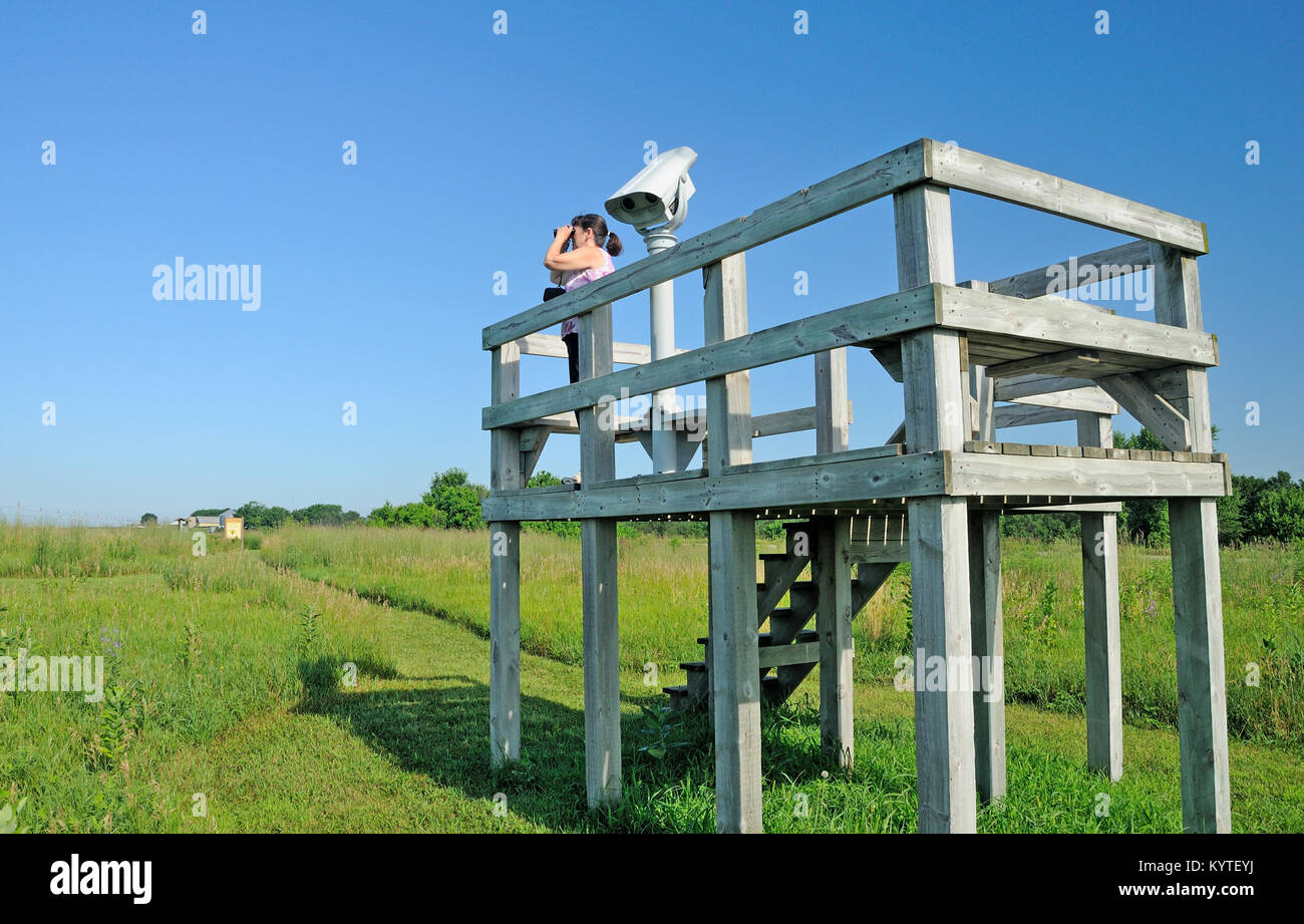 Birdwatcher observing birds on a wildlife viewing platform Stock Photo ...