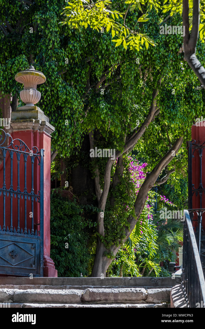 Stairs and gate at the PARQUE JUAREZ - SAN MIGUEL DE ALLENDE, MEXICO ...