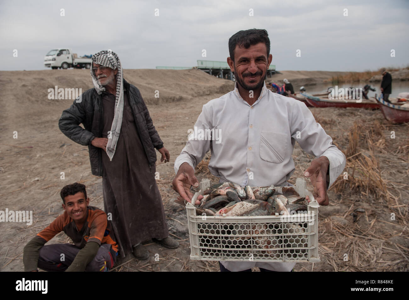 Just after dawn Marsh Arab fishermen return with their catch from the ...