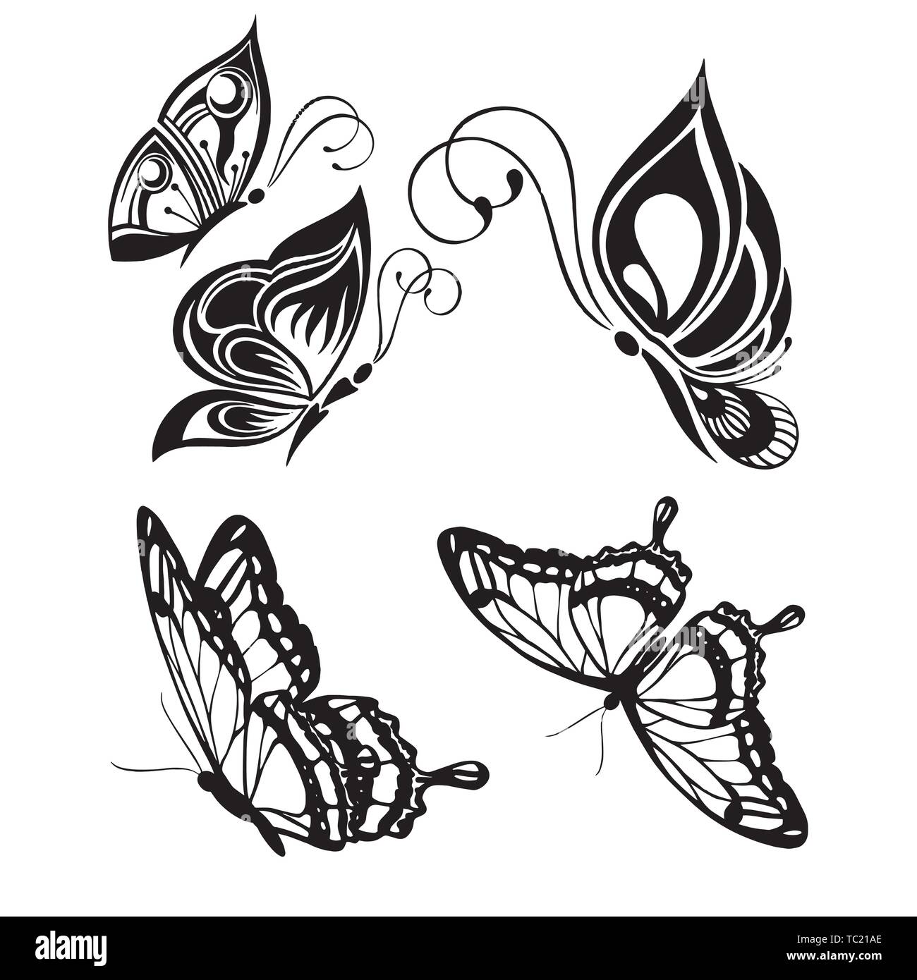 insect butterfly outline vector. nature coloring book insect butterfly ...