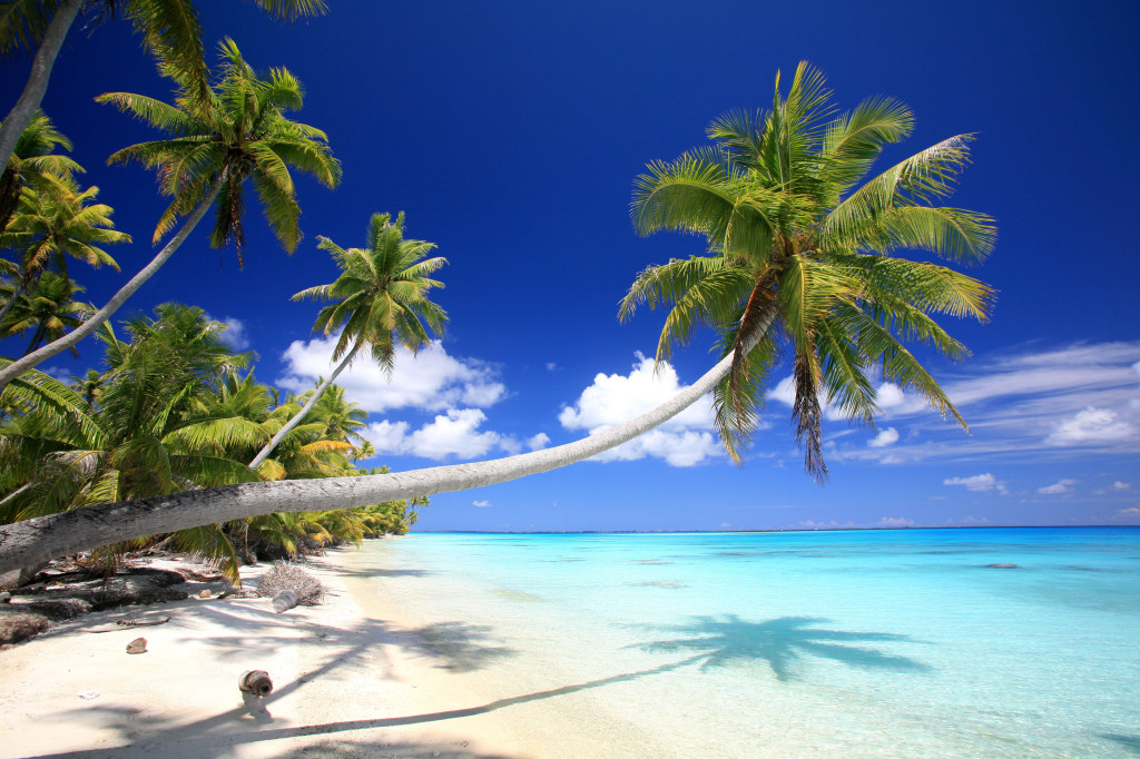 Tropical Dream Beach