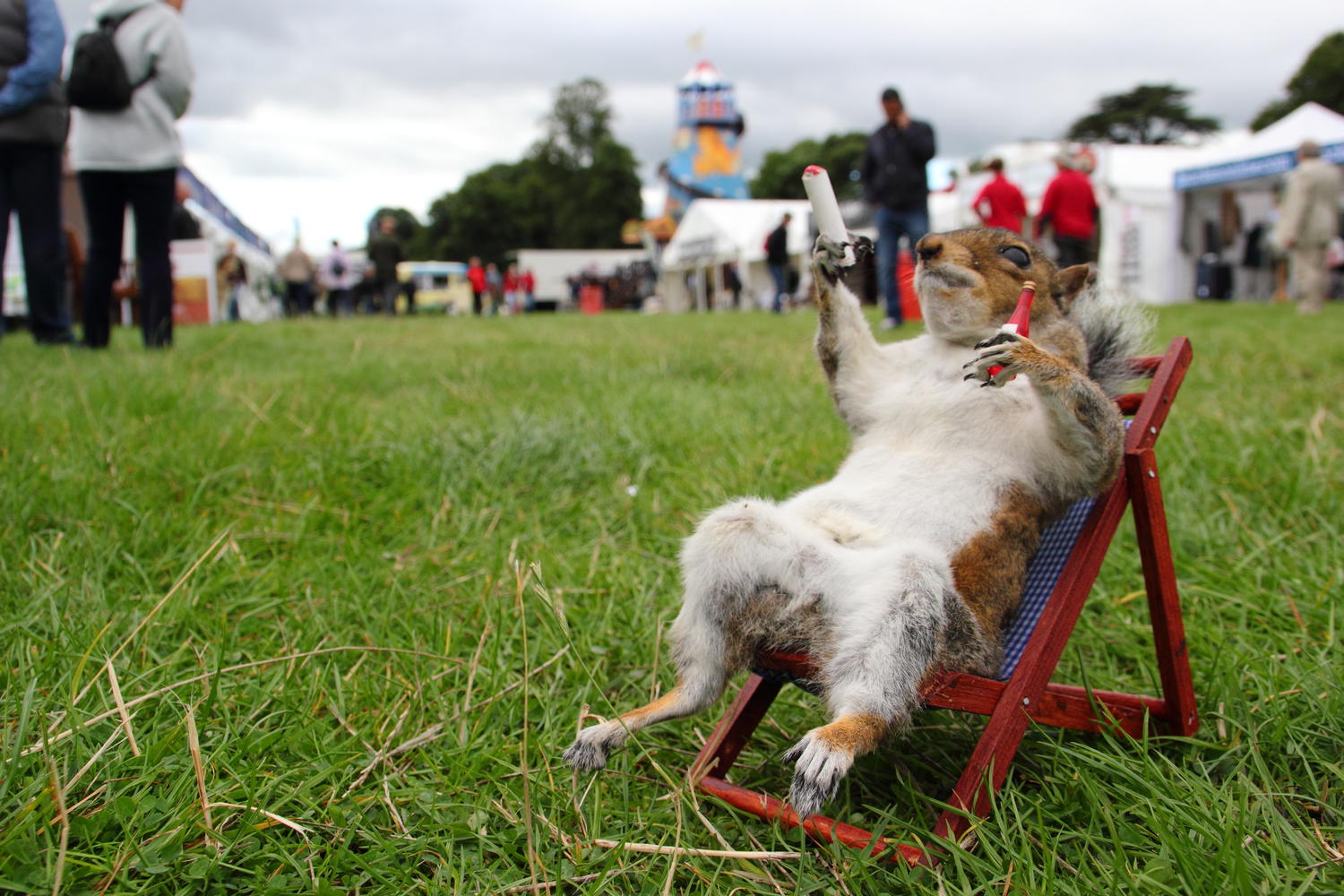 Chatsworth House, Derbyshire, UK. 04th Sep, 2015. The skills of taxidermist, Kevin Brookes from Tamworth, Staffordshire on display at the annual country fair at Chatsworth House where the former butcher has a stall selling preserved small mammals and bird