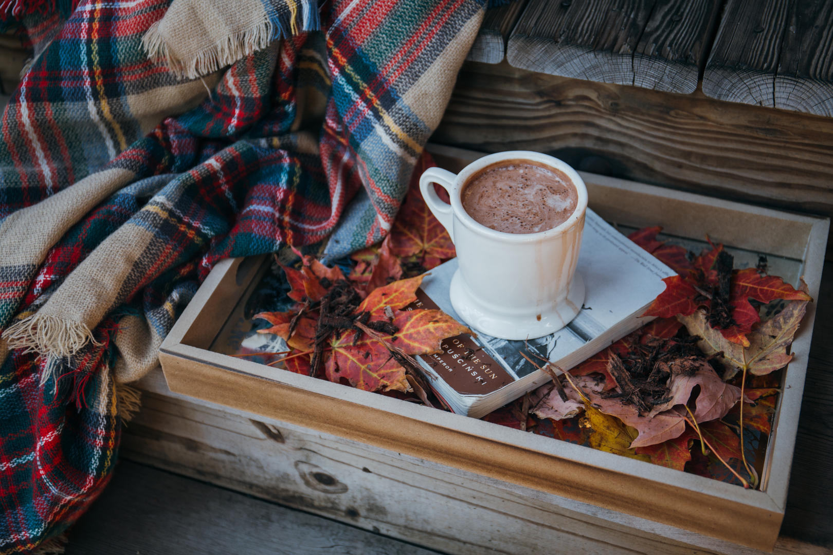 Winter scene with hot chocolate
