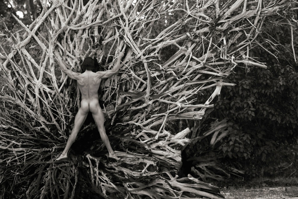 Muscular nude male in a large tree root